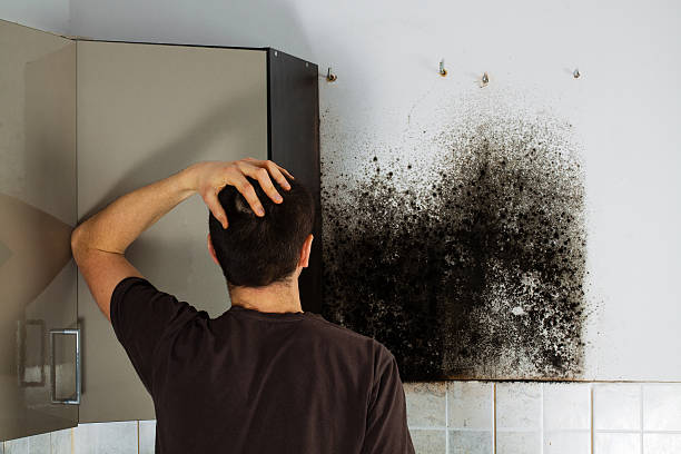 Best Bathroom Mold Remediation in Blackwood, NJ